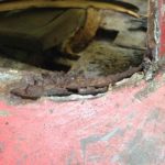 Cforcar Facel Vega Restoration 1 127